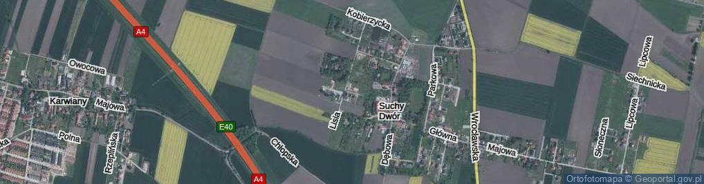 Zdjęcie satelitarne Rysia ul.